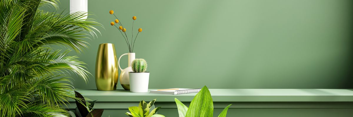 Shop Our Latest Lifestyle - ToughWorkz