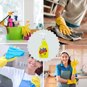 Ship Shape Professional Surface & Appliance Cleaner, 32oz