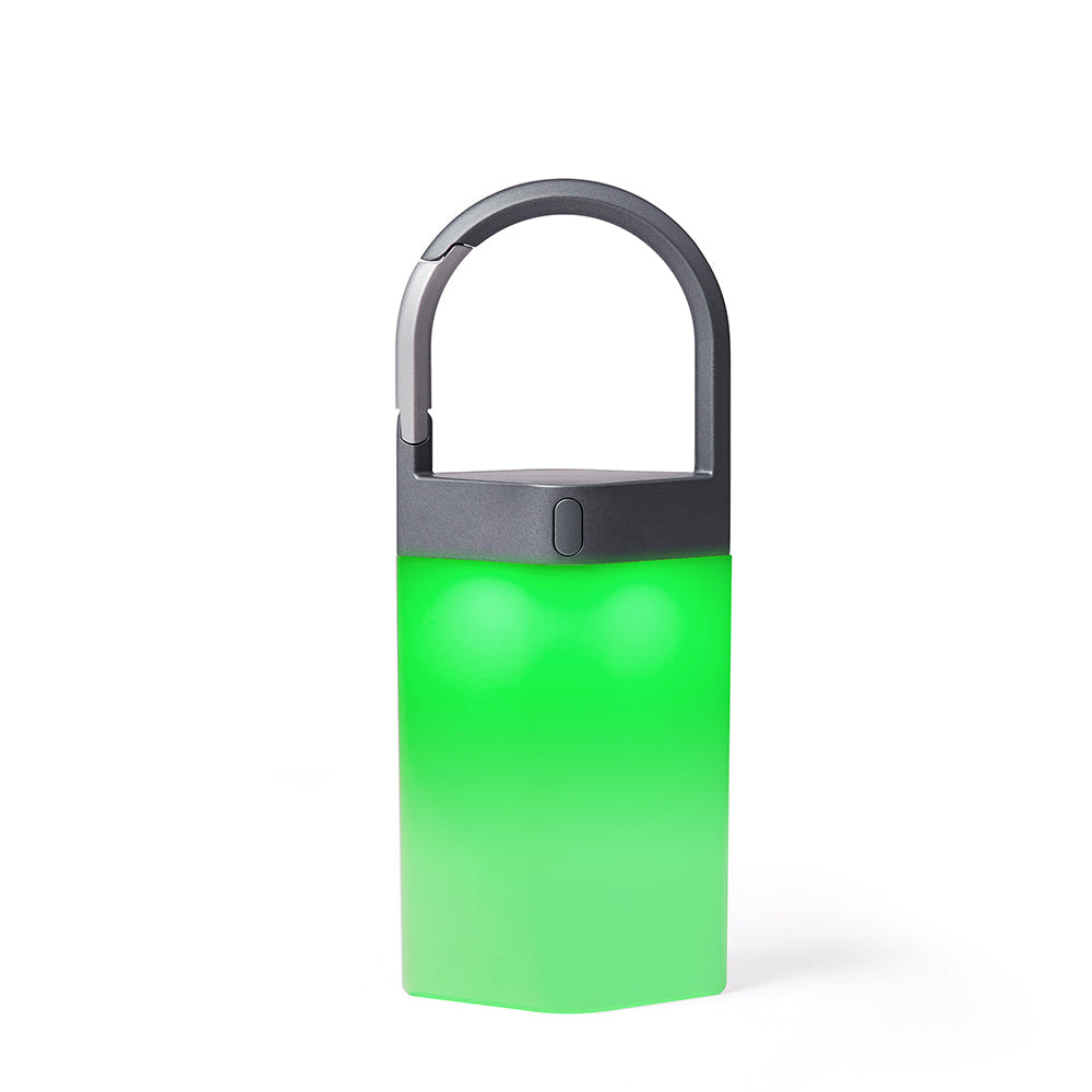 Lexon Hanging Lamp Green | ToughWorkz