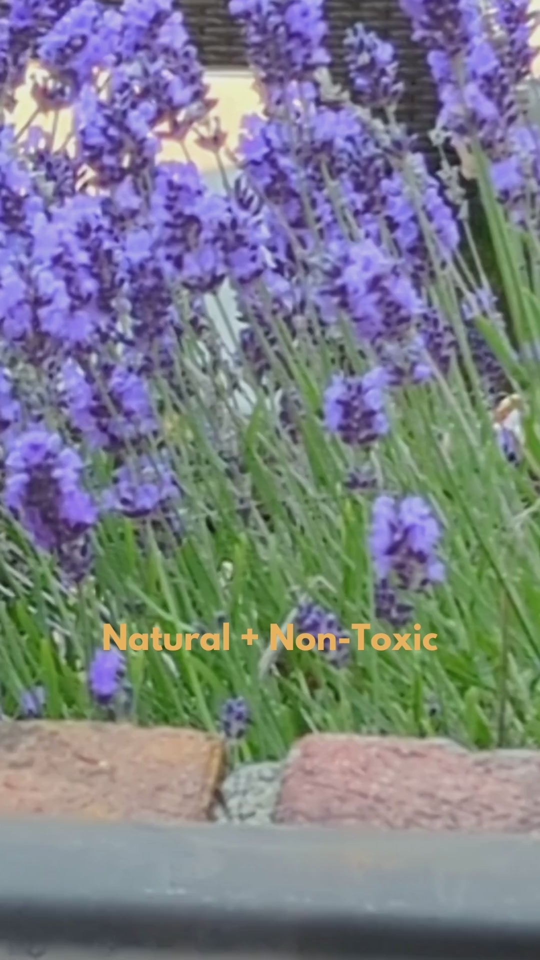 ToughWorkz Natural Pine Fire Starters for BBQs, Grills, Pizza Ovens, Firepits, Campfires